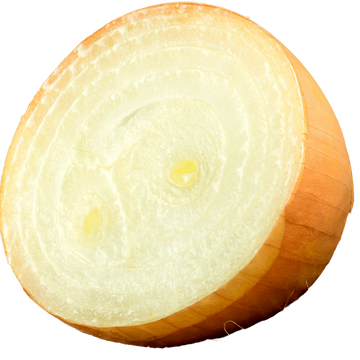 sliced onion
